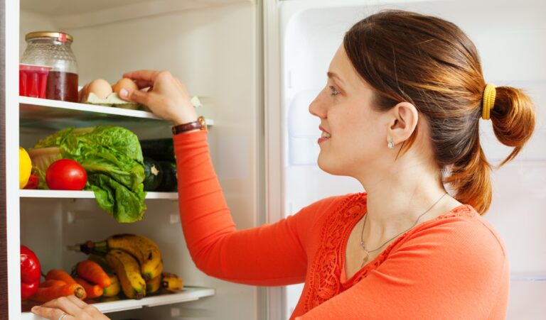 refrigerator repair services