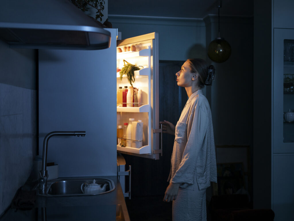 Refrigerator Repair Lorton VA