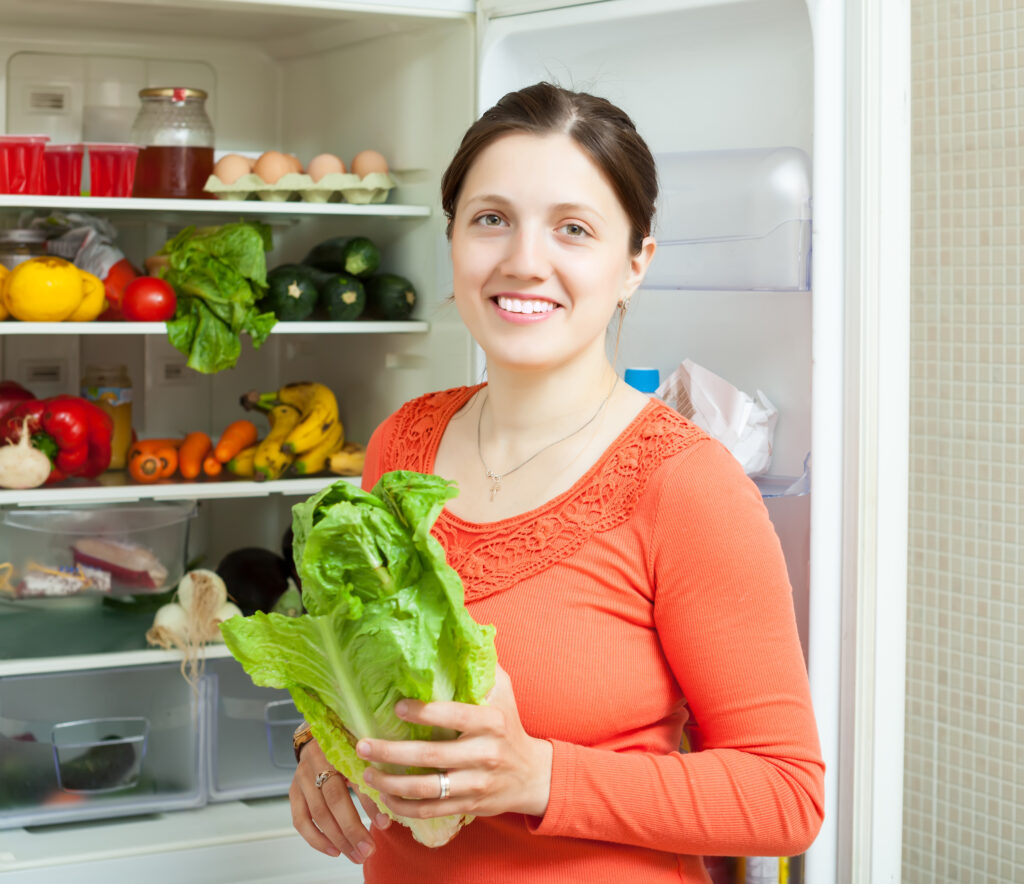 refrigerator repair alexandria va