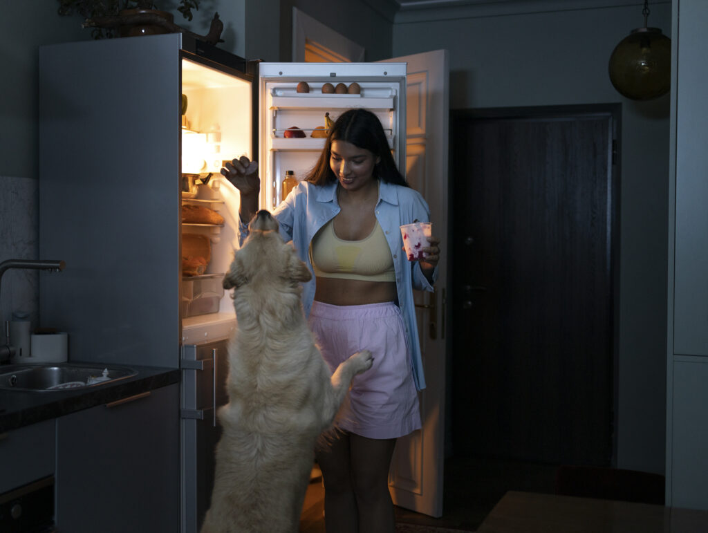 professional refrigerator repair fairfax va